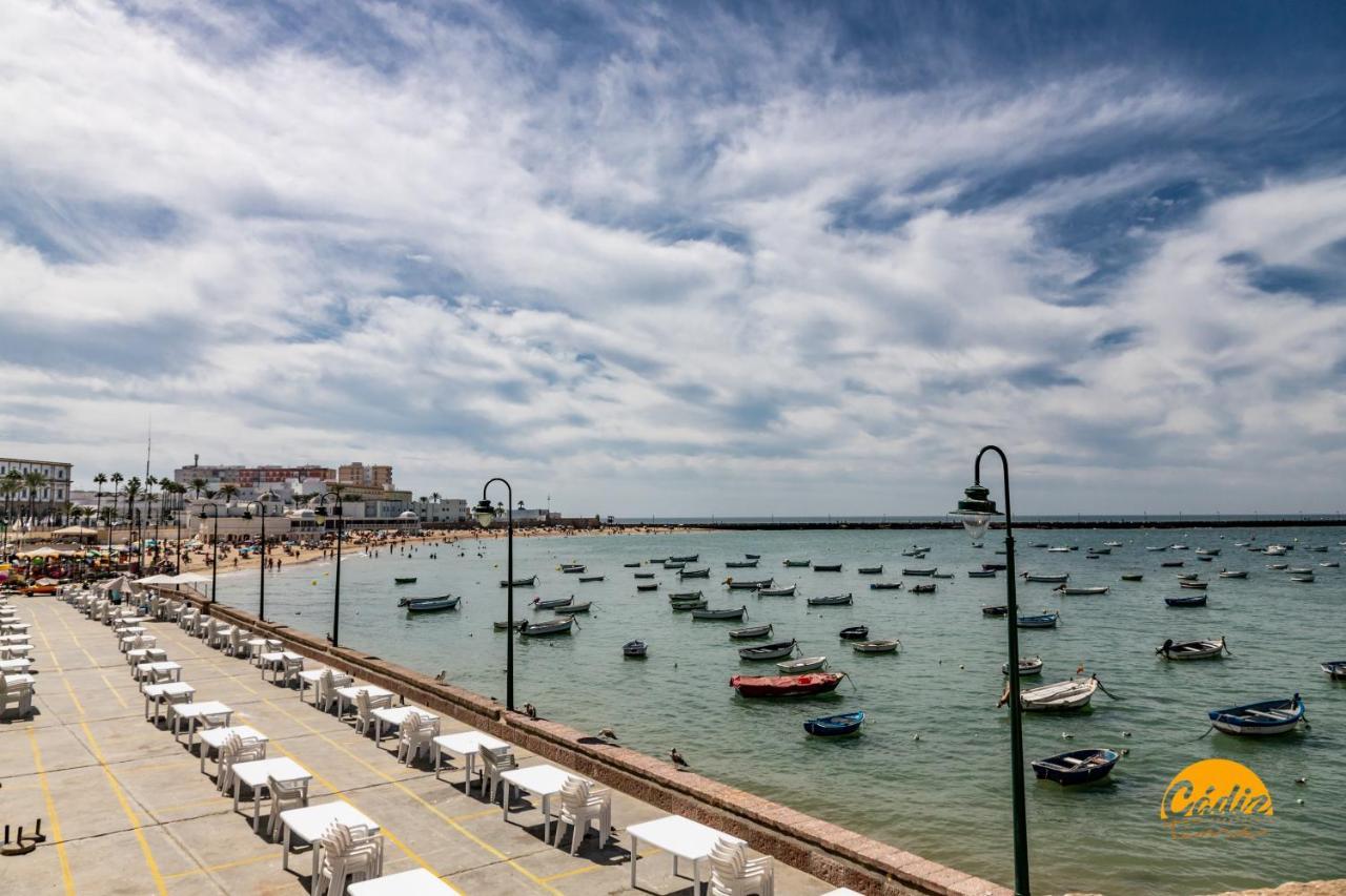 Corralon De Carros By Time Apartament *